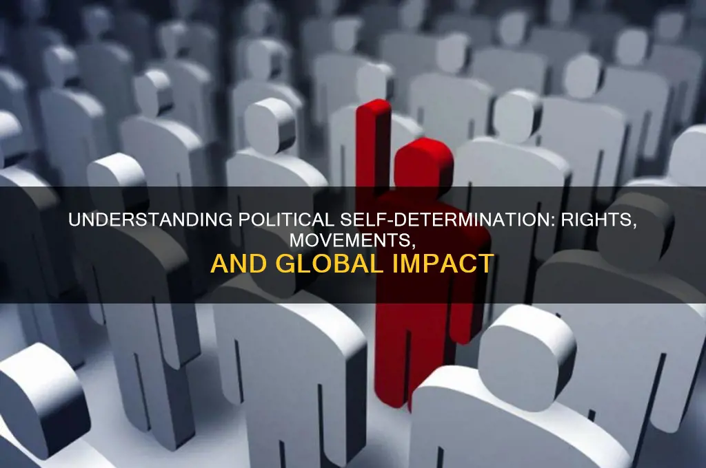 what is political self determination