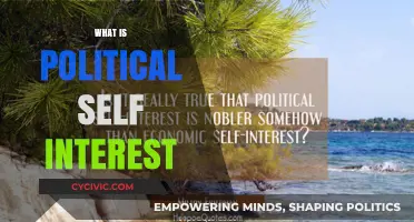 Understanding Political Self-Interest: Motives, Impact, and Ethical Considerations