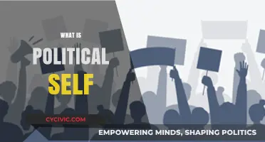 Understanding the Political Self: Identity, Beliefs, and Civic Engagement