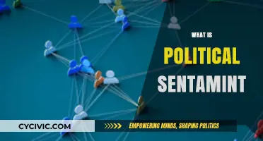 Understanding Political Sentiment: Analyzing Public Opinion and Its Impact