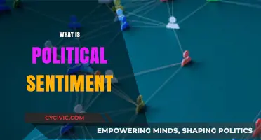 Understanding Political Sentiment: Analyzing Public Opinion and Its Impact