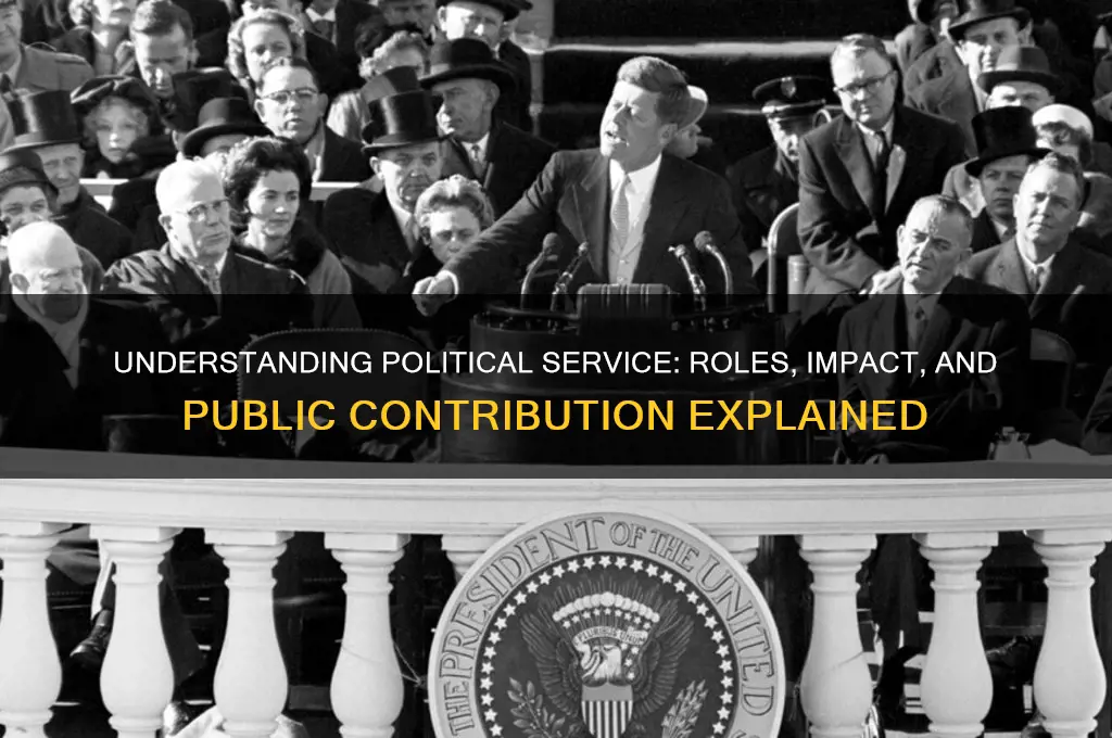 what is political service