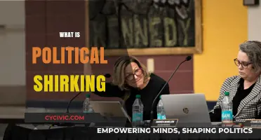 Understanding Political Shirking: Causes, Consequences, and Accountability in Governance