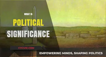 Understanding Political Significance: Power, Influence, and Societal Impact Explained