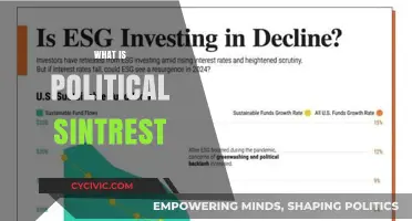 Understanding Political Sintrest: A Comprehensive Guide to Its Role and Impact