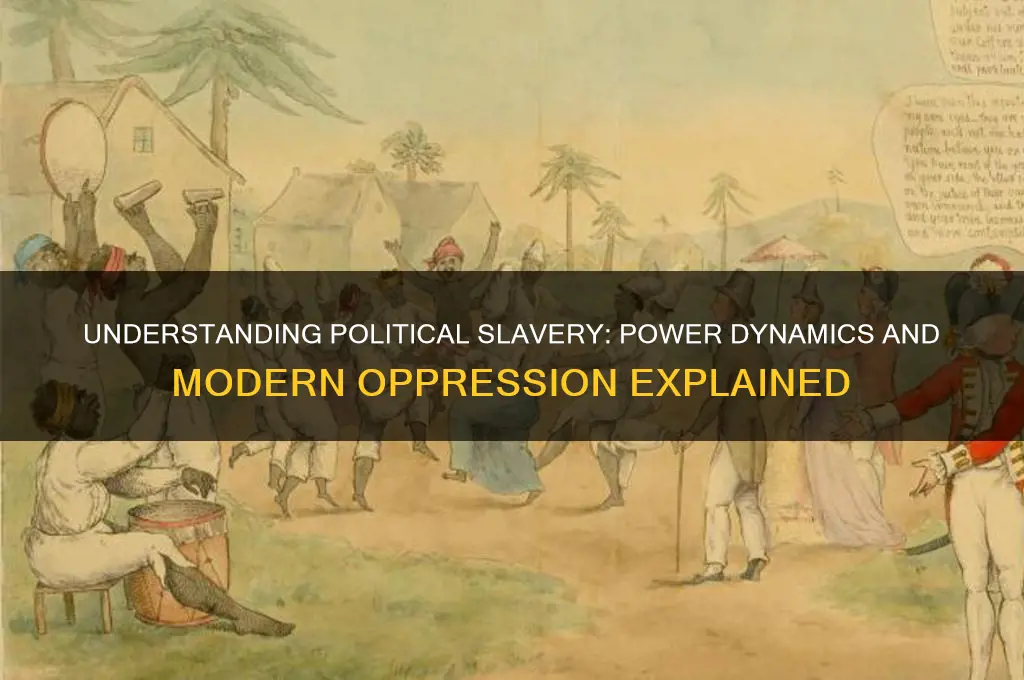 what is political slaver