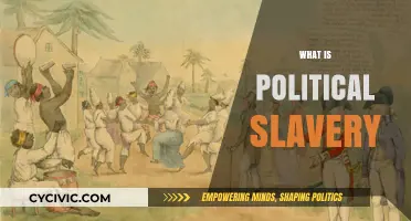 Understanding Political Slavery: Oppression, Control, and Modern Implications
