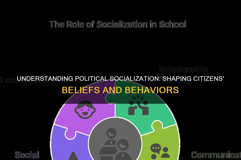 what is political socialisation