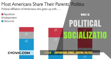 Understanding Political Socialization: Shaping Beliefs, Values, and Civic Engagement