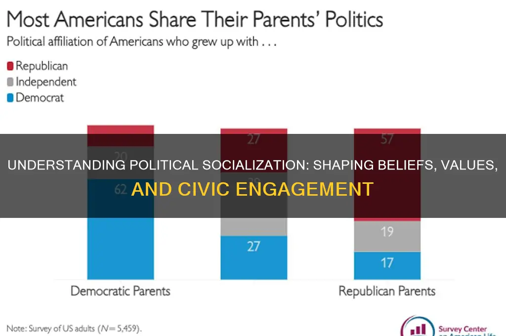 what is political socializatio