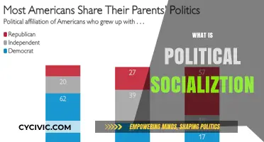 Understanding Political Socialization: Shaping Citizens' Beliefs and Behaviors