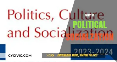 Understanding Political Socialization: Shaping Beliefs, Values, and Civic Engagement