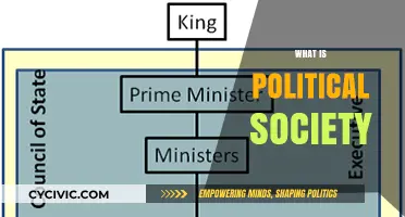 Understanding Political Society: Structure, Power, and Civic Engagement Explained