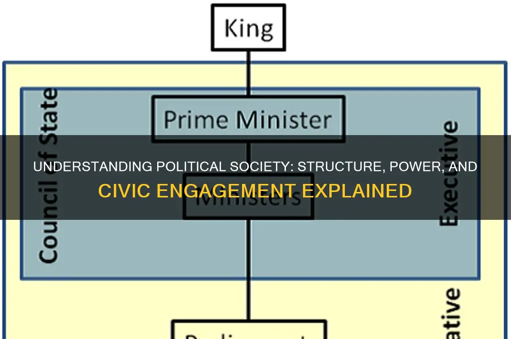 what is political society