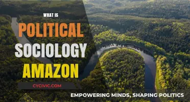 Exploring Political Sociology: Amazon's Role in Society and Power Dynamics