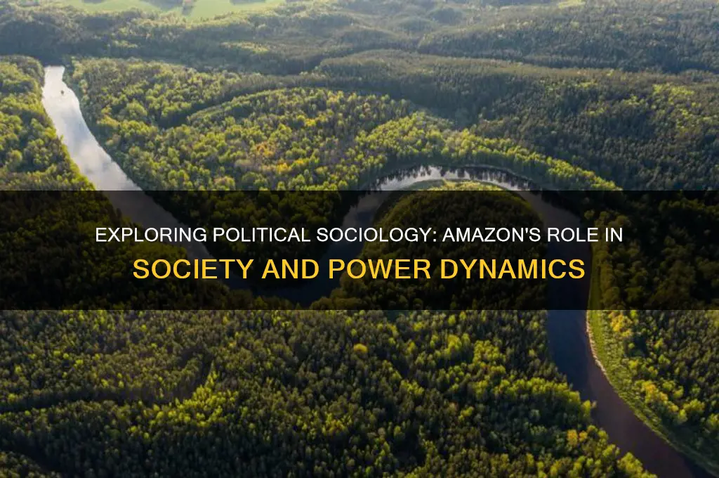 what is political sociology amazon
