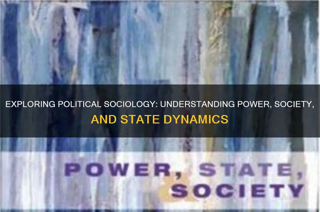 what is political sociology book