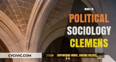 Understanding Political Sociology: Exploring Clemens' Key Concepts and Theories