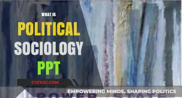 Exploring Political Sociology: Power, Institutions, and Social Dynamics PPT