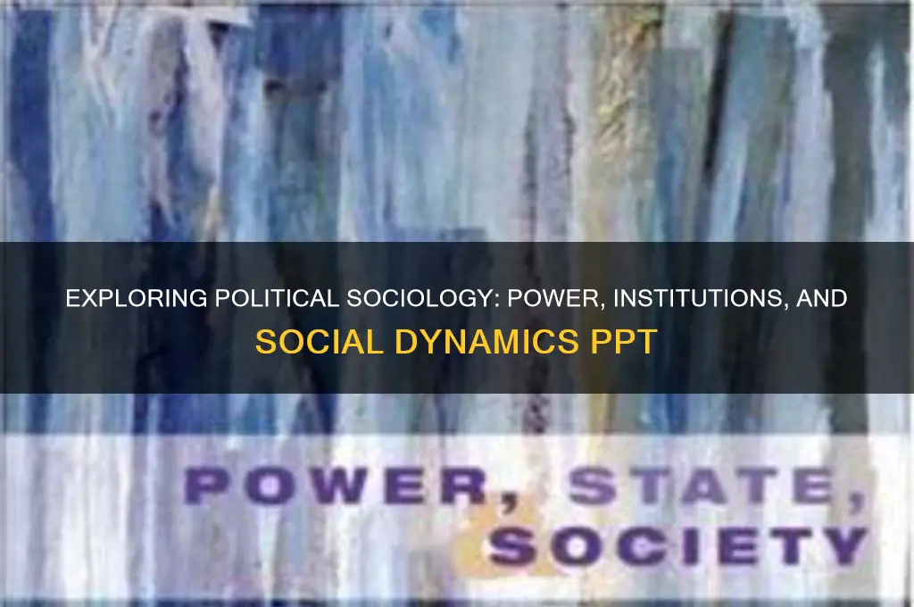 what is political sociology ppt