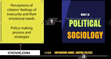 Understanding Political Sociology: Power, Society, and State Dynamics Explained