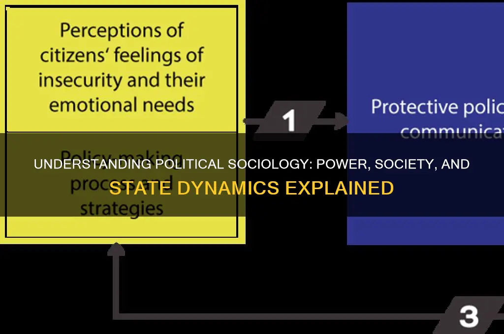 what is political sociology