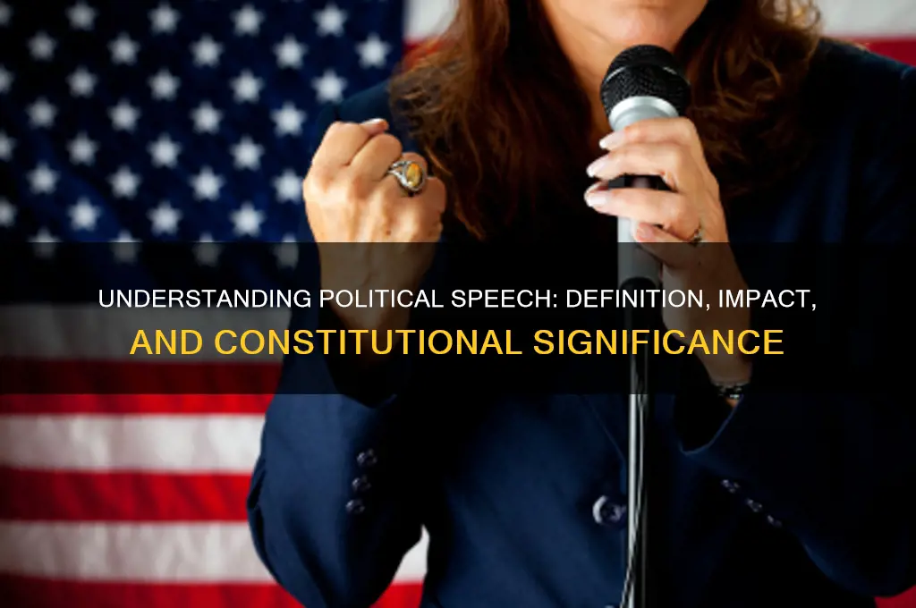 what is political soeech