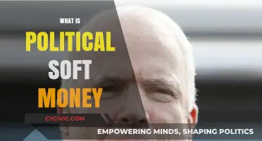 Understanding Political Soft Money: Definition, Impact, and Controversies Explained