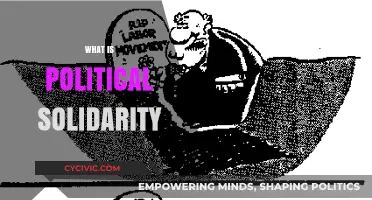 Understanding Political Solidarity: Uniting for Collective Action and Social Change