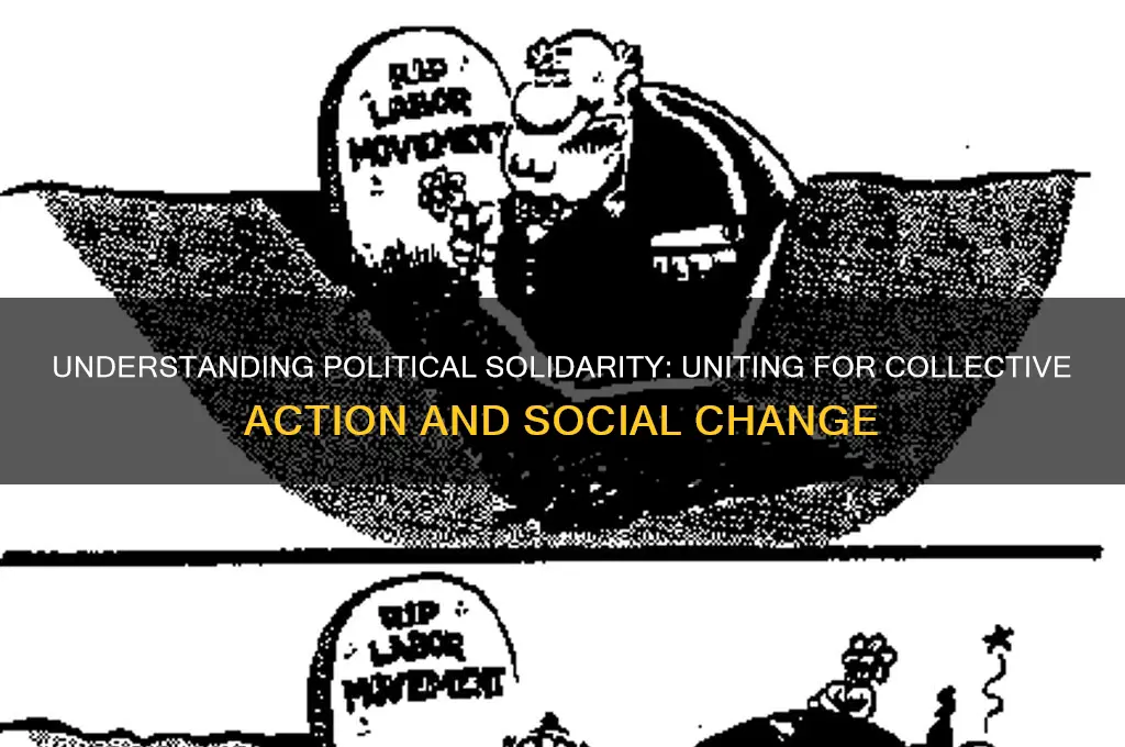 what is political solidarity
