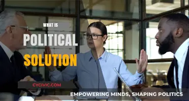 Understanding Political Solutions: Resolving Conflicts Through Dialogue and Compromise