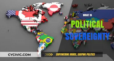 Understanding Political Sovereignty: Power, Authority, and State Autonomy Explained