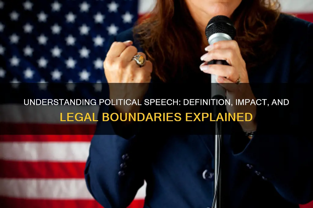 what is political speach