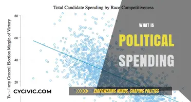 Understanding Political Spending: How Money Shapes Elections and Policies