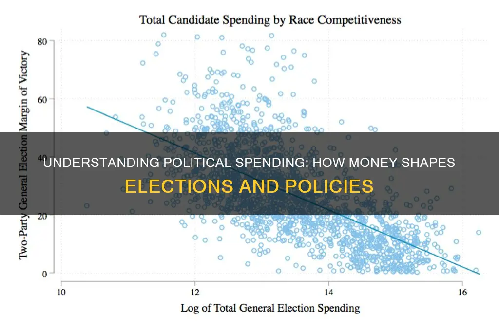 what is political spending