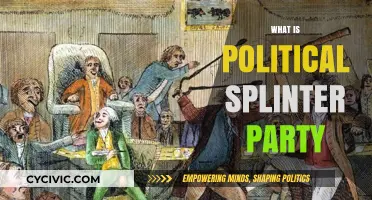 Understanding Political Splinter Parties: Origins, Impact, and Role in Democracy