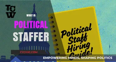 Understanding the Role of a Political Staffer in Modern Politics