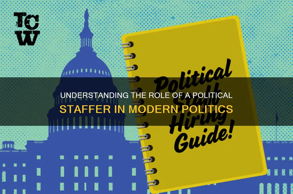 what is political staffer