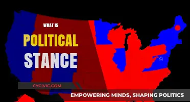 Understanding Political Stance: Defining Beliefs, Ideologies, and Their Impact