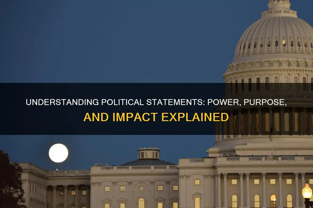 what is political statement