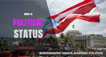 Understanding Political Status: Definitions, Implications, and Global Perspectives