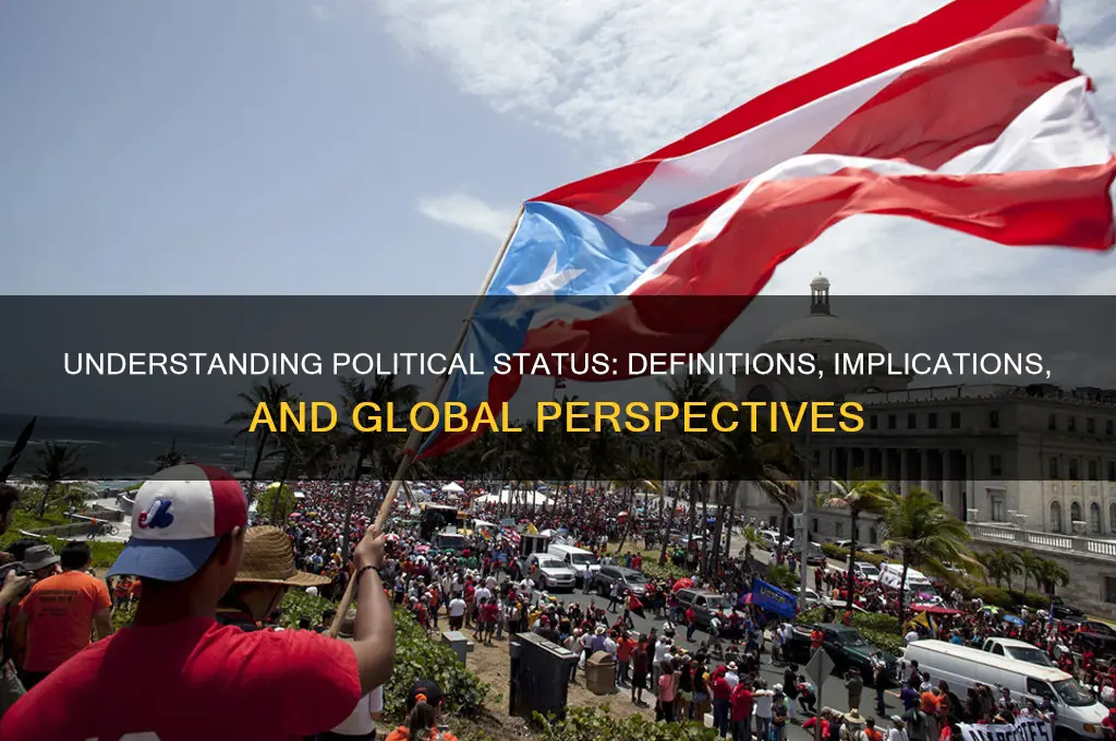 what is political status