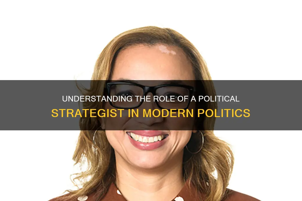 what is political strategist