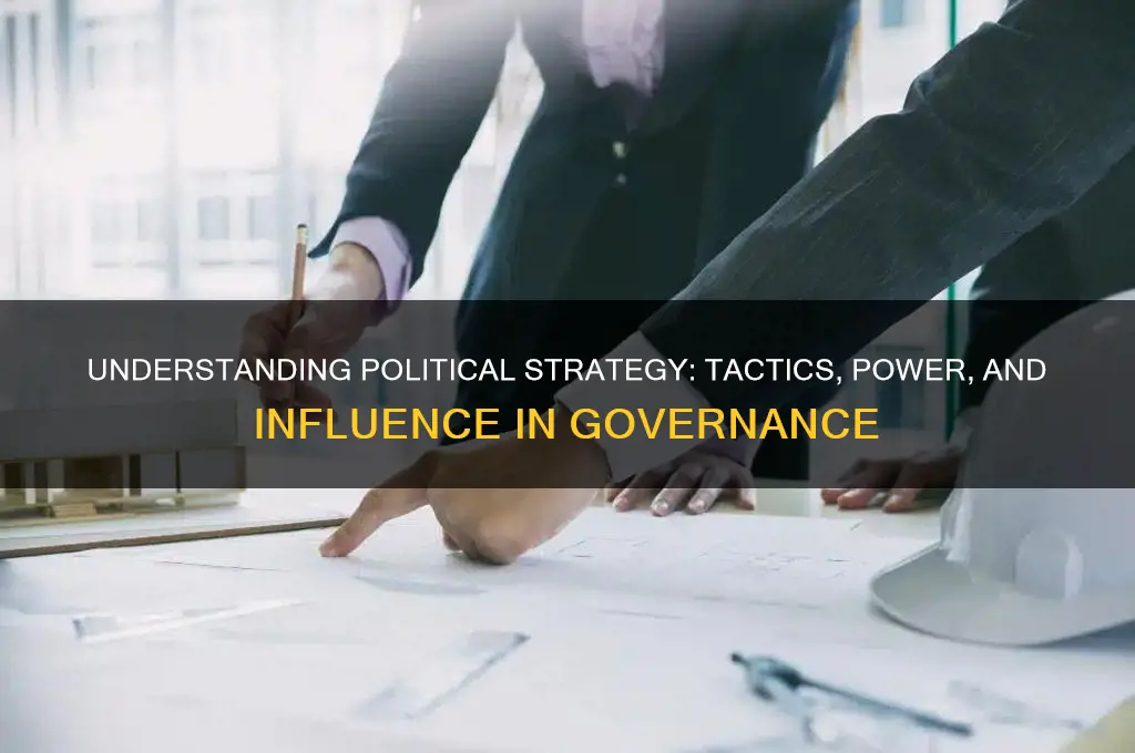 what is political strategy