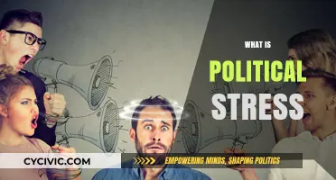 Understanding Political Stress: Causes, Effects, and Coping Strategies