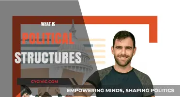 Understanding Political Structures: Frameworks, Power Dynamics, and Governance Systems