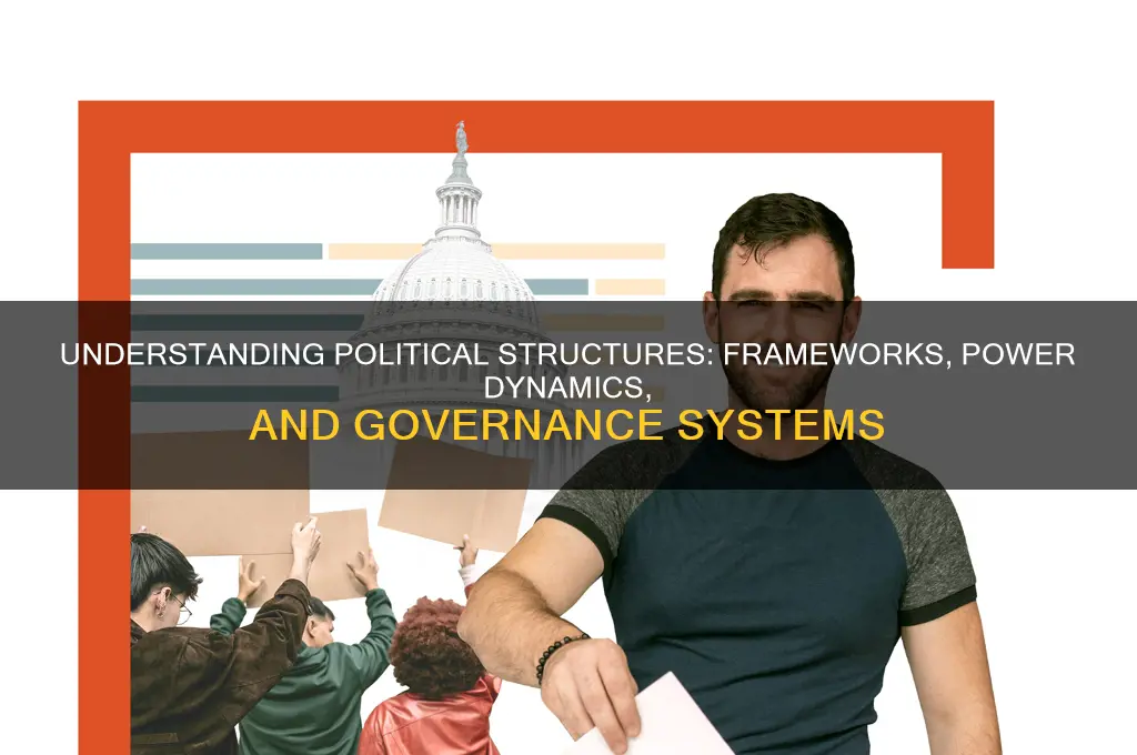what is political structures