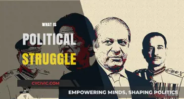Understanding Political Struggle: Power, Conflict, and Social Change Explained