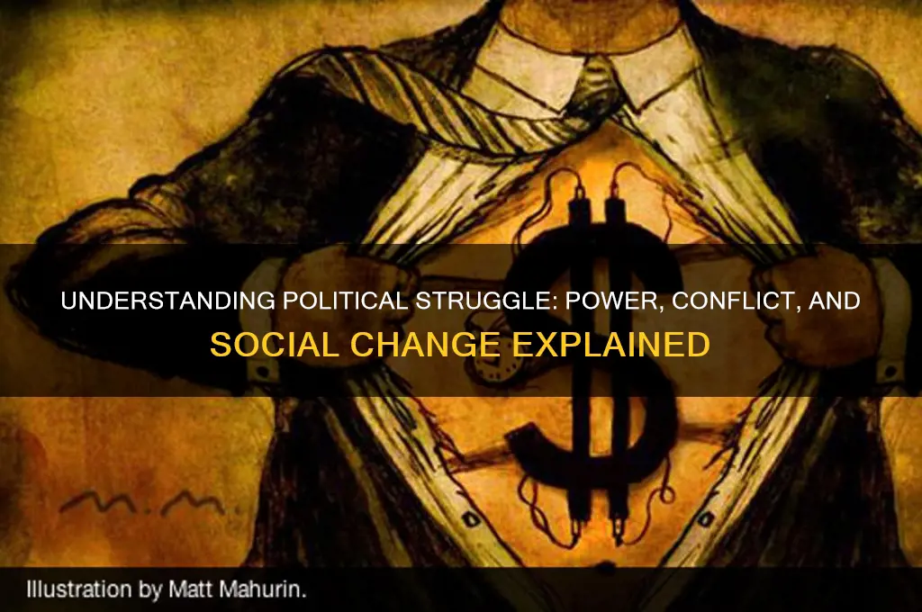 what is political struggle