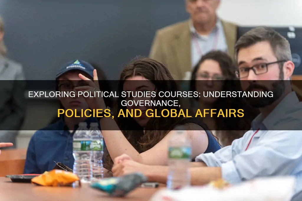 what is political studies courses